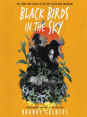 cover image of Black Birds in the Sky